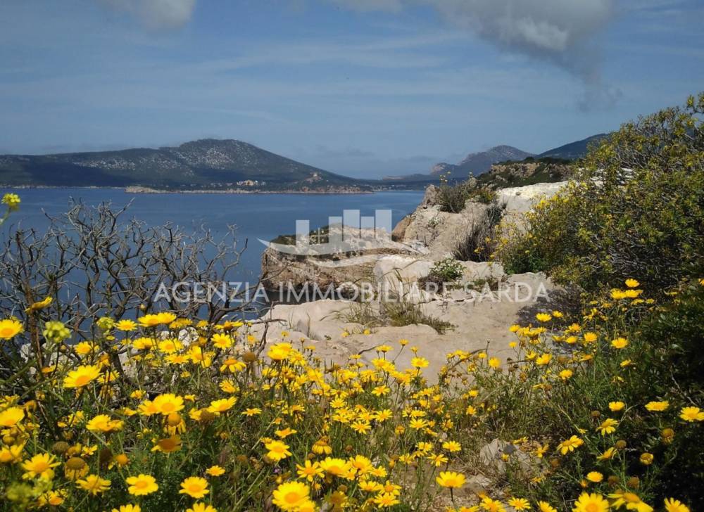 immagine annuncio 8 di 13