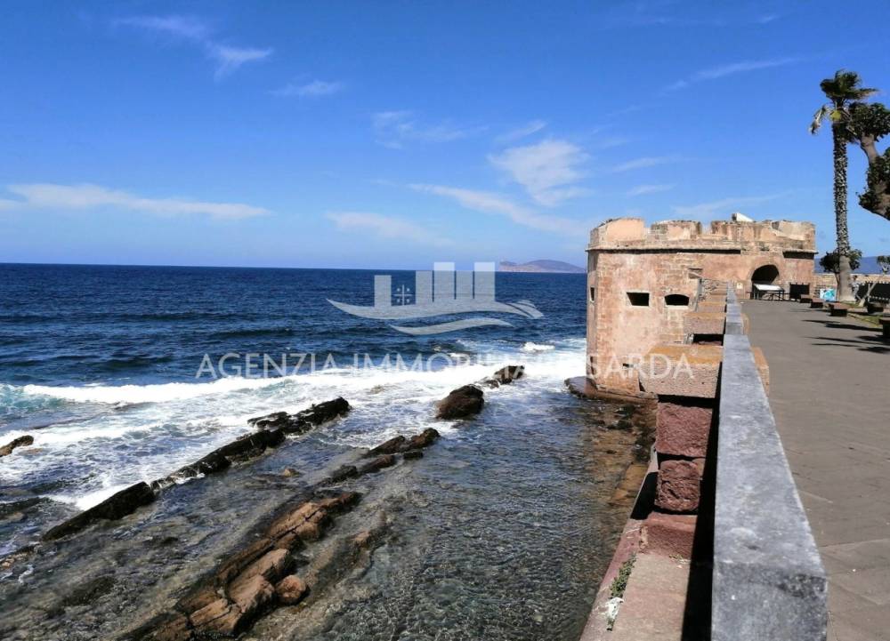 immagine annuncio 9 di 13