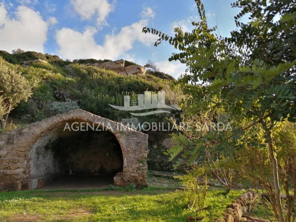 immagine annuncio 10 di 13