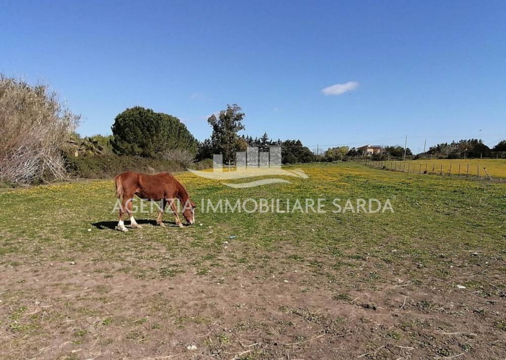 immagine annuncio 11 di 13