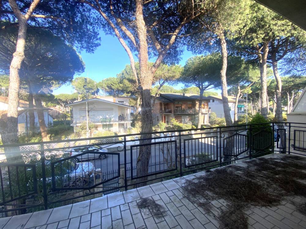immagine annuncio 10 di 13