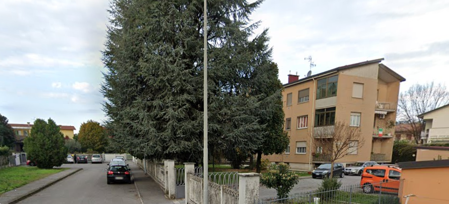 immagine annuncio 6 di 13