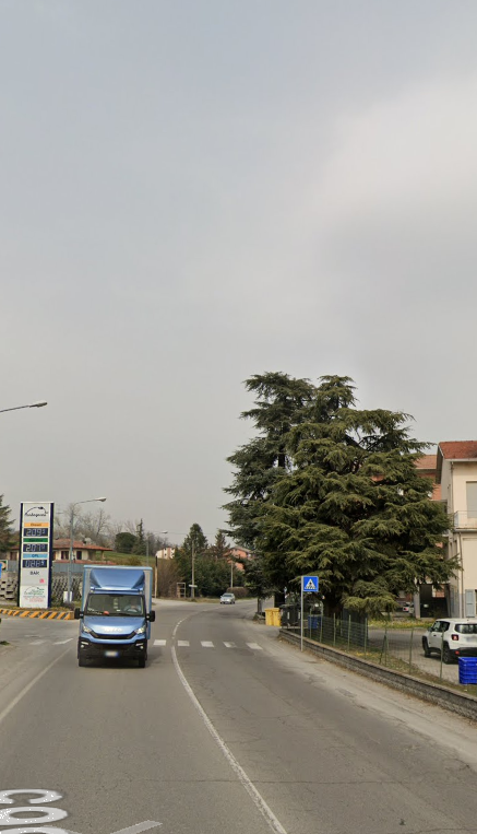 immagine annuncio 4 di 12