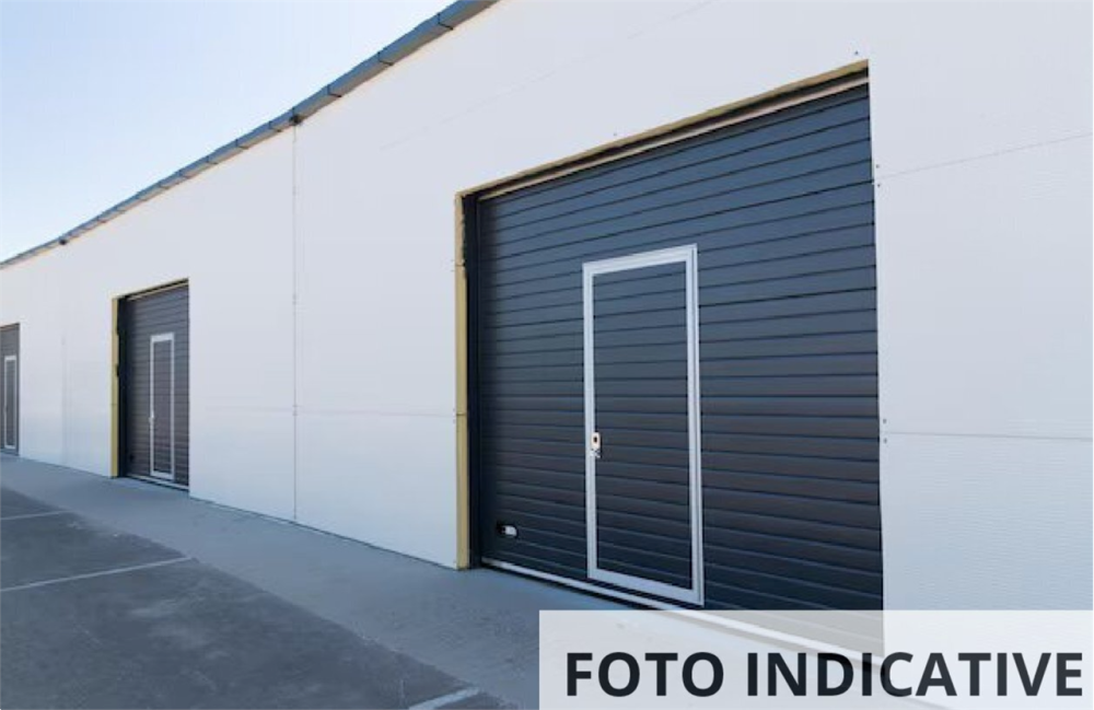 immagine annuncio 9 di 13