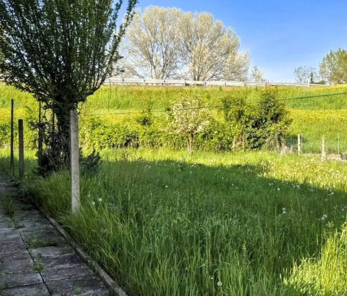 immagine annuncio 8 di 13