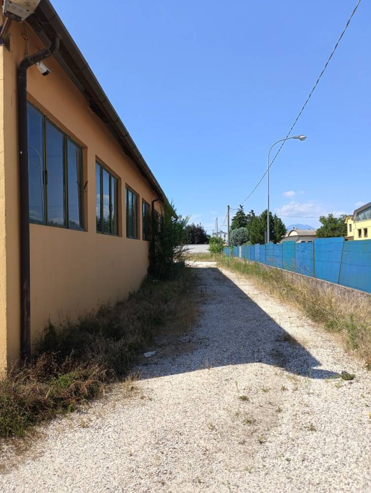 immagine annuncio 11 di 14