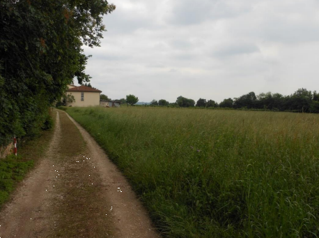 immagine annuncio 6 di 13
