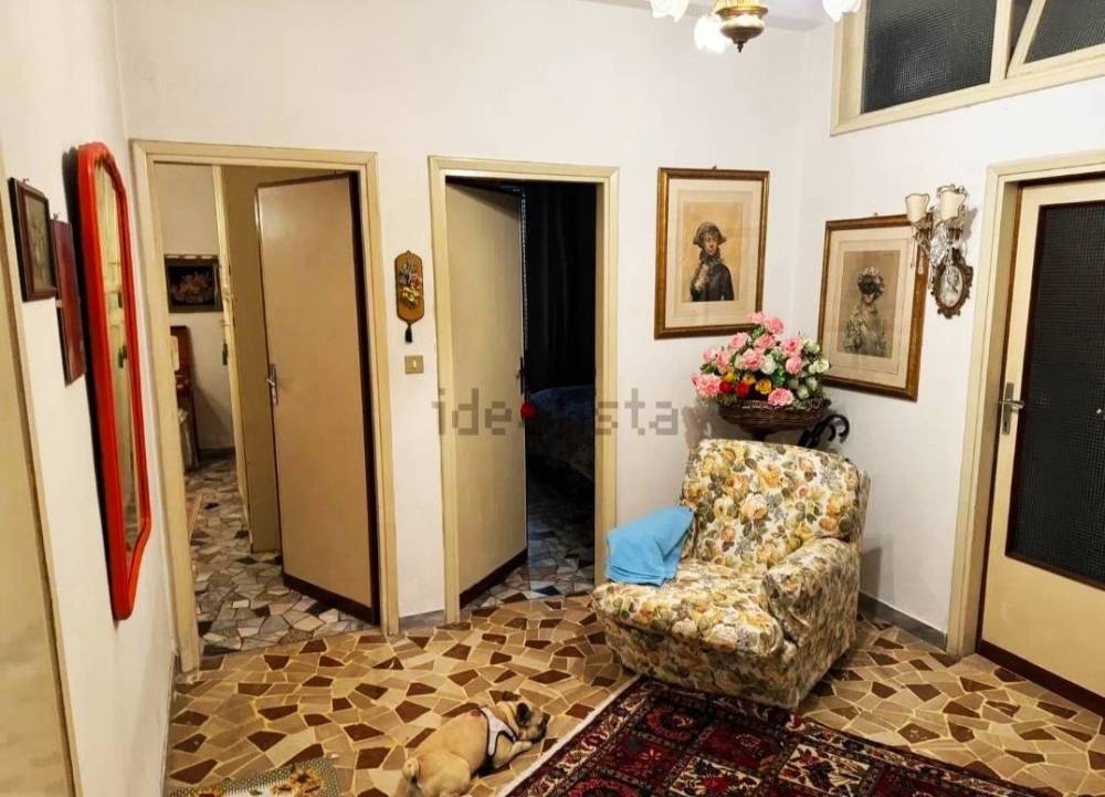 immagine annuncio 5 di 13