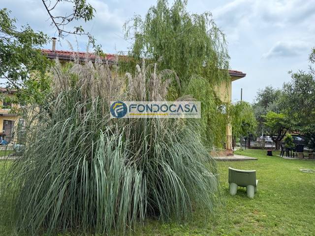 immagine annuncio 5 di 13