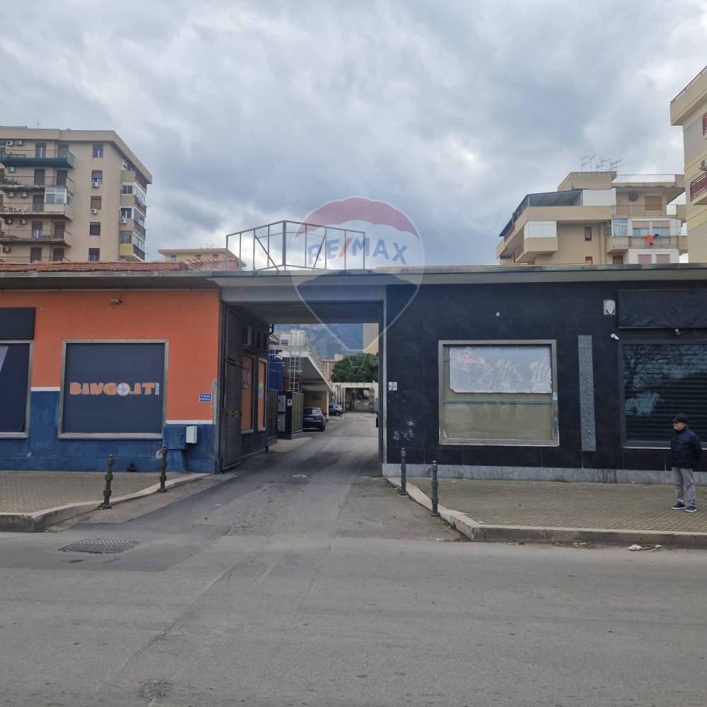 immagine annuncio 12 di 13