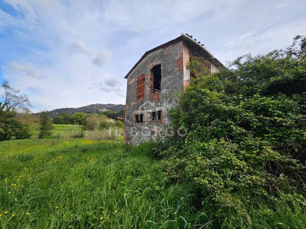 immagine annuncio 8 di 13