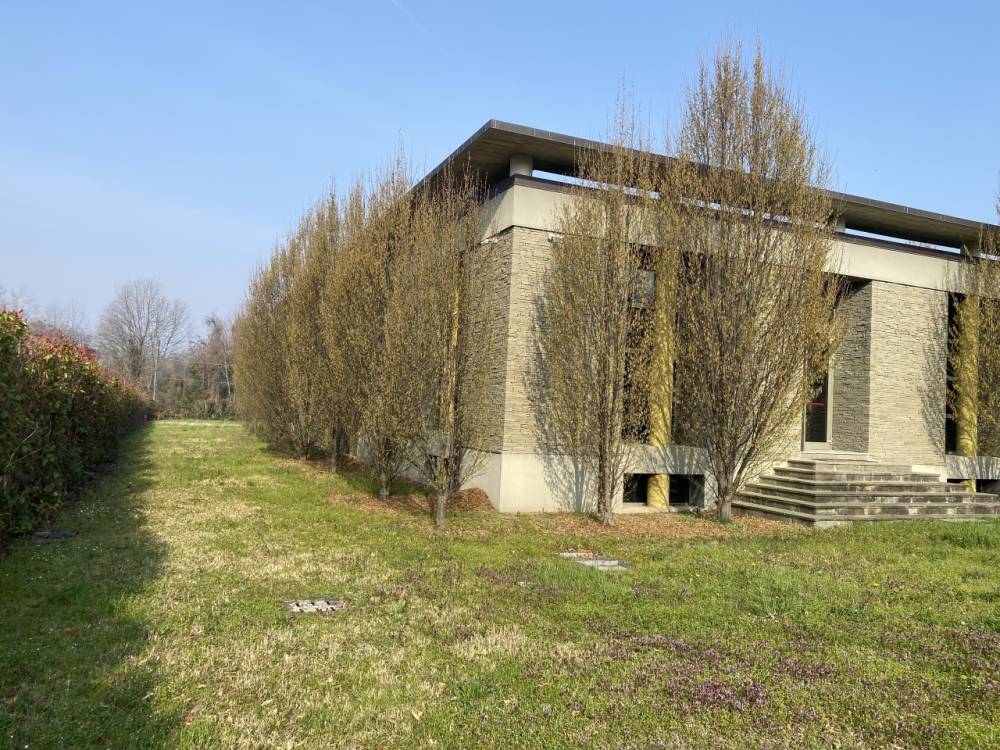 immagine annuncio 5 di 8