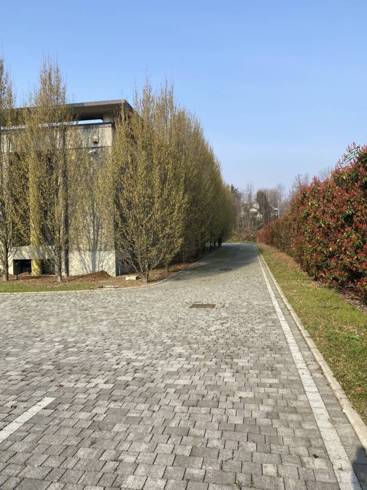 immagine annuncio 6 di 8