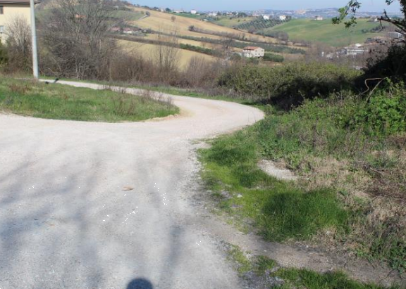 immagine annuncio 7 di 13