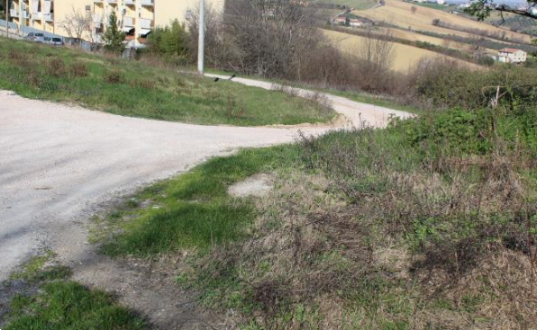 immagine annuncio 11 di 13