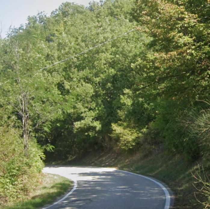 immagine annuncio 9 di 13