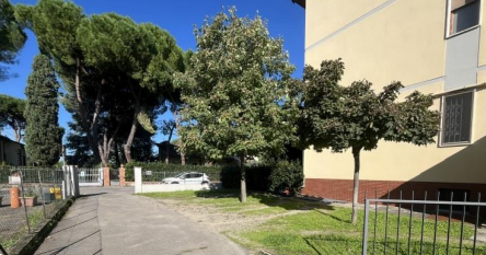 immagine annuncio 1 di 13