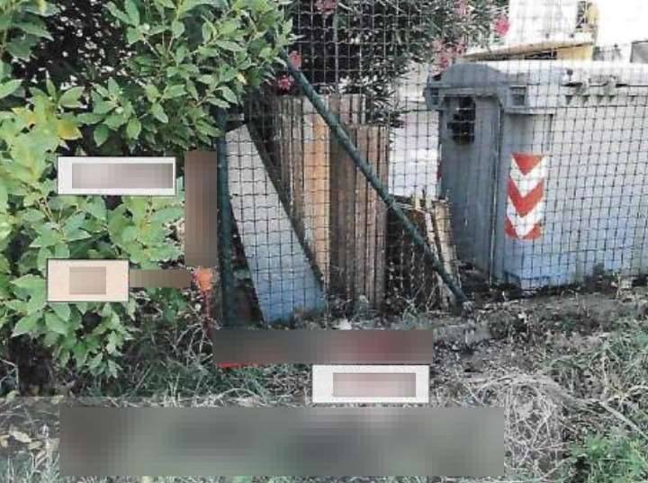immagine annuncio 11 di 13