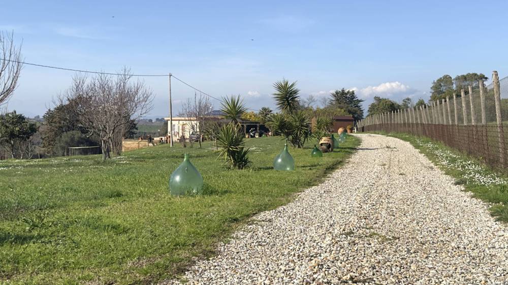 immagine annuncio 11 di 13