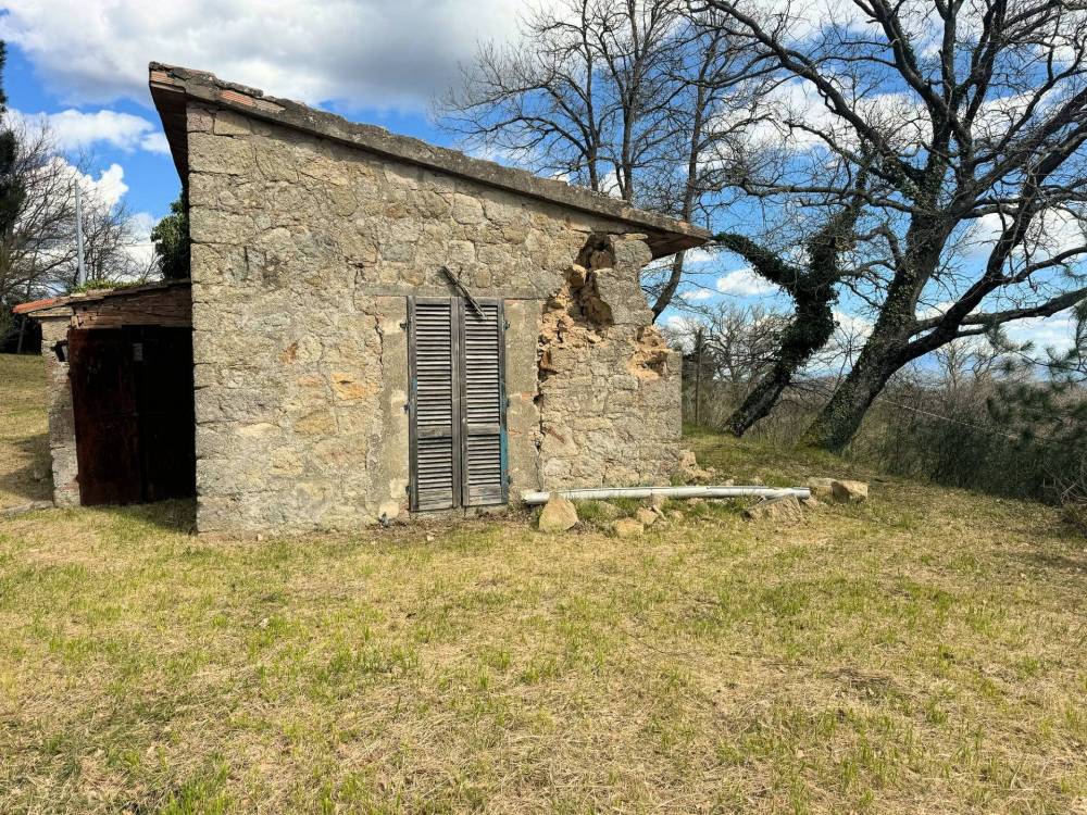 immagine annuncio 5 di 13