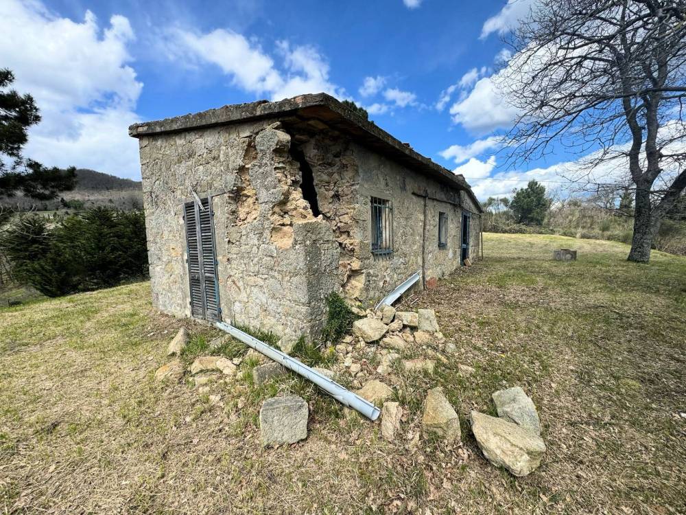 immagine annuncio 7 di 13