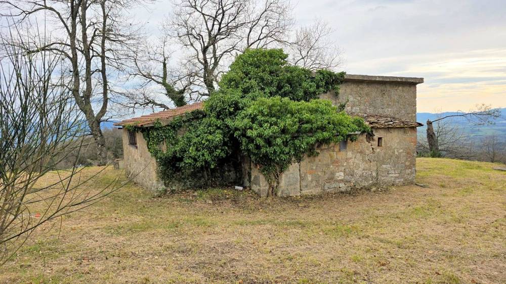 immagine annuncio 2 di 13