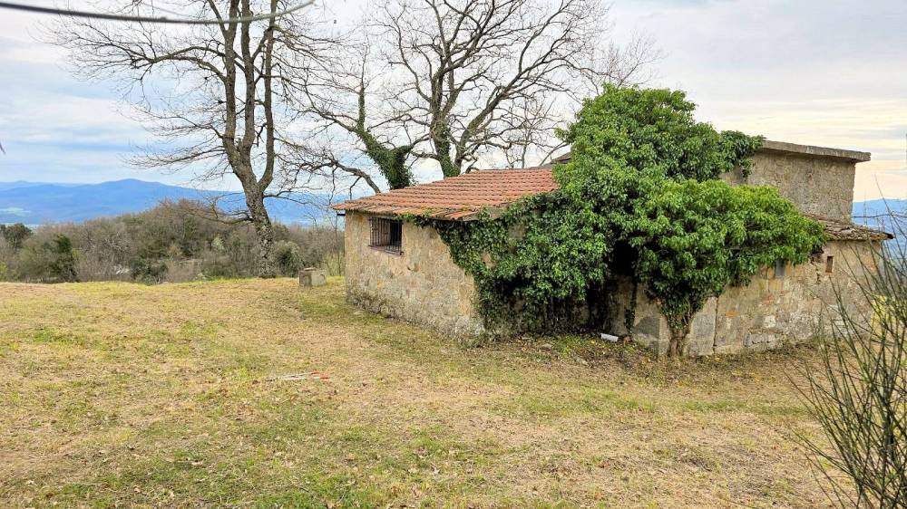 immagine annuncio 10 di 13