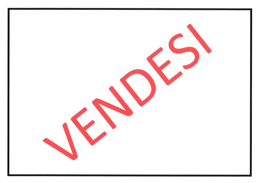 immagine annuncio 5 di 6