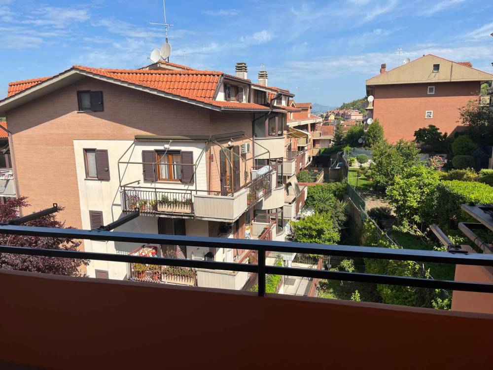 immagine annuncio 2 di 12