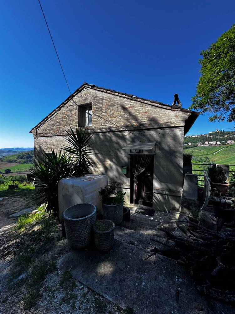 immagine annuncio 9 di 12