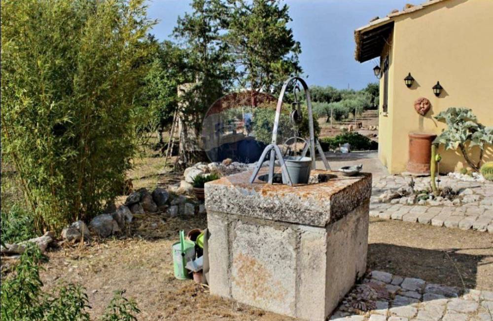 immagine annuncio 7 di 13