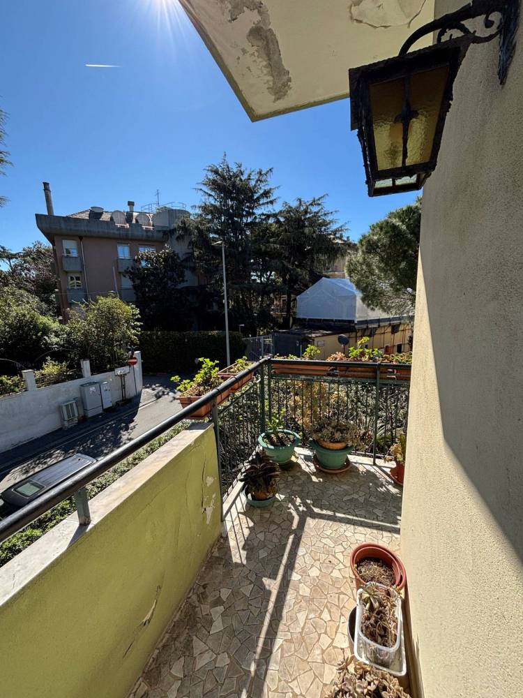immagine annuncio 6 di 13