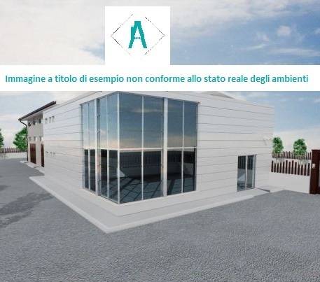 immagine annuncio 3 di 6