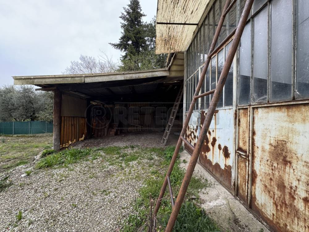 immagine annuncio 2 di 9