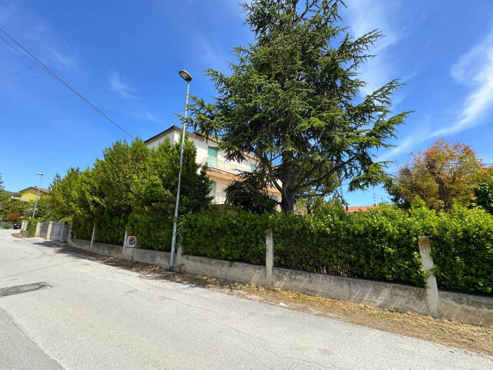 immagine annuncio 5 di 13