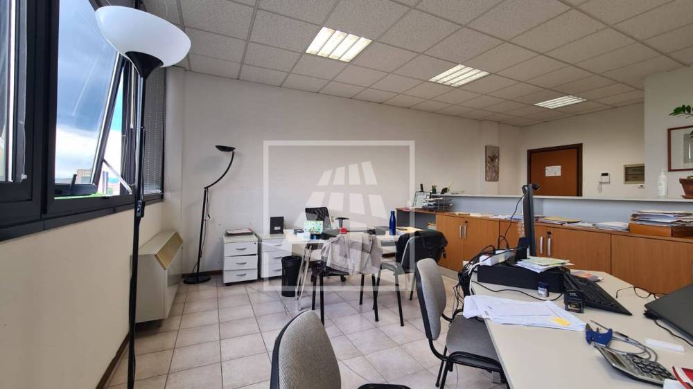 immagine annuncio 9 di 13