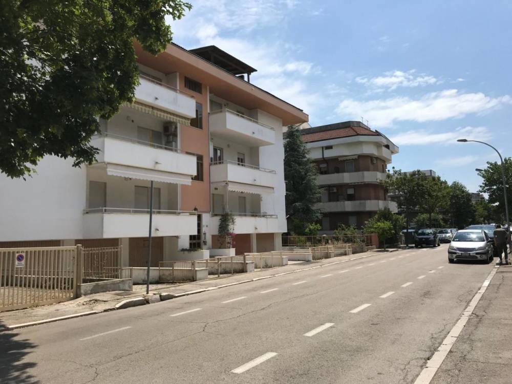 immagine annuncio 11 di 12