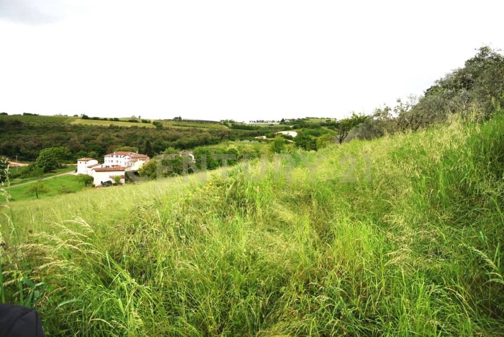 immagine annuncio 5 di 8