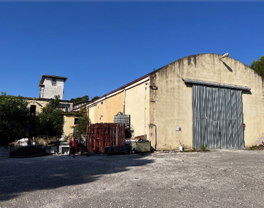 immagine annuncio 7 di 13