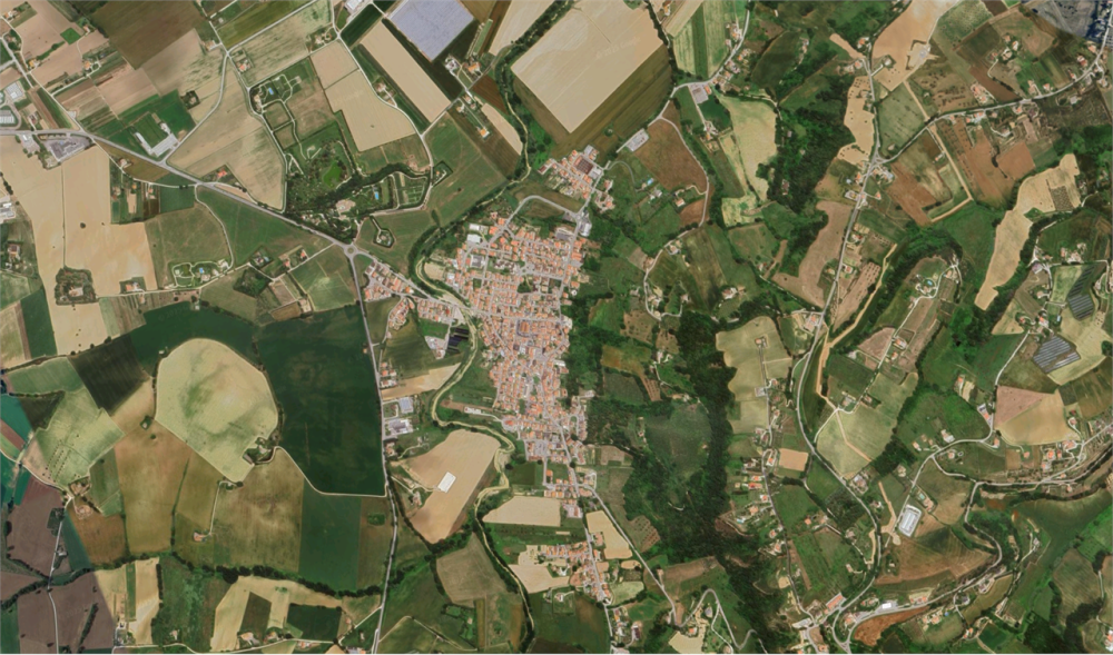 immagine annuncio 10 di 13