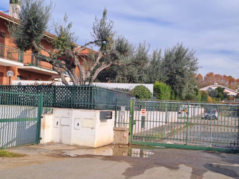 immagine annuncio 3 di 13