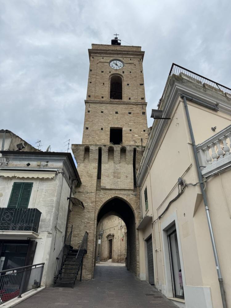 immagine annuncio 4 di 13