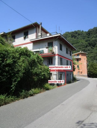 immagine annuncio 12 di 13