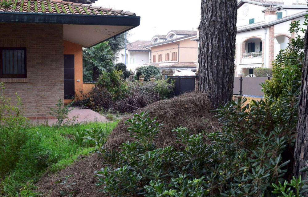 immagine annuncio 4 di 13