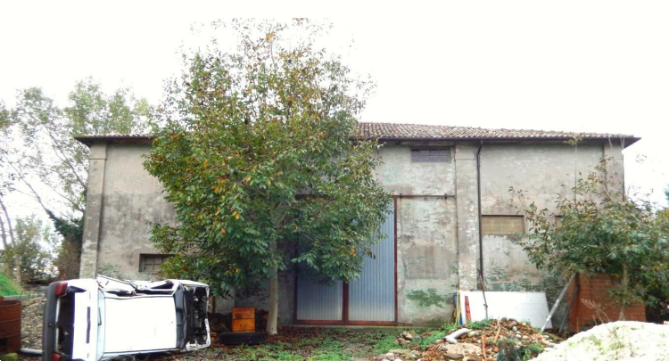 immagine annuncio 4 di 13