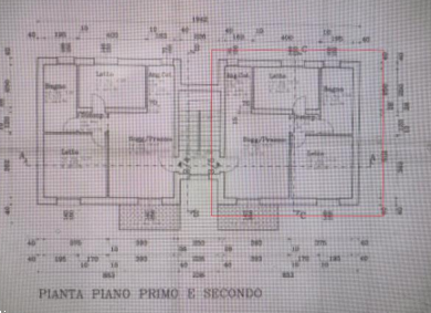 immagine annuncio 9 di 13