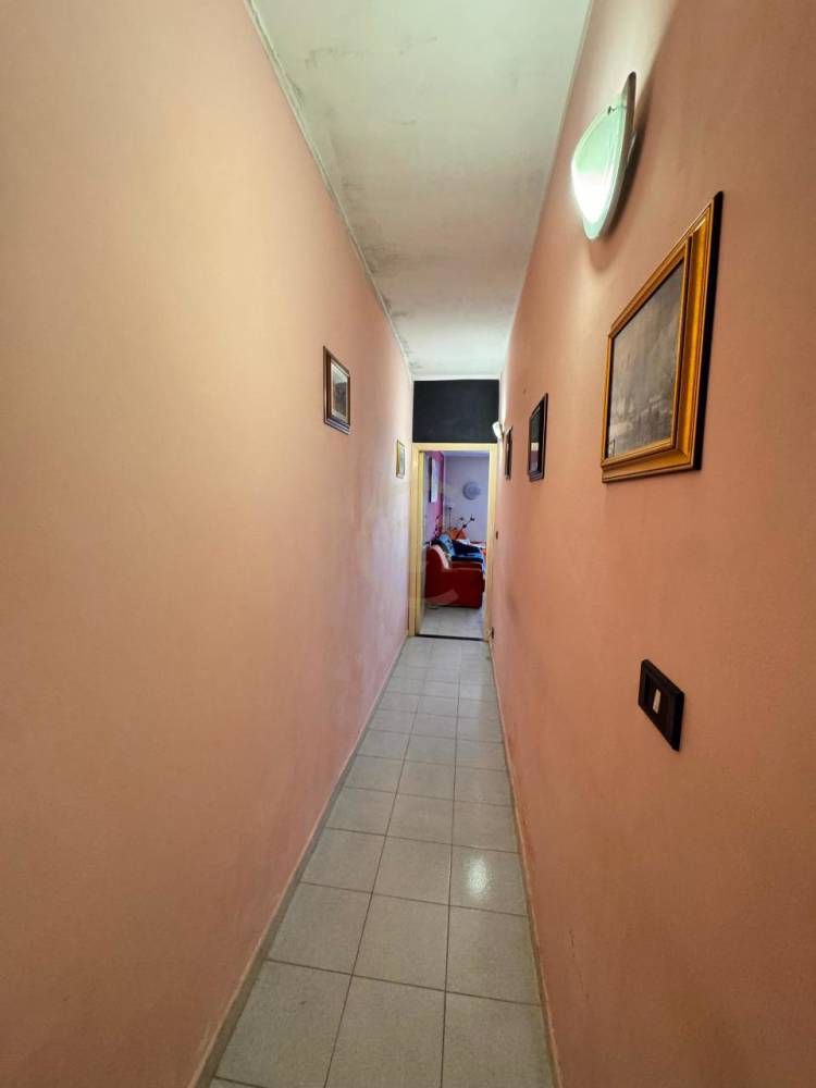 immagine annuncio 11 di 13