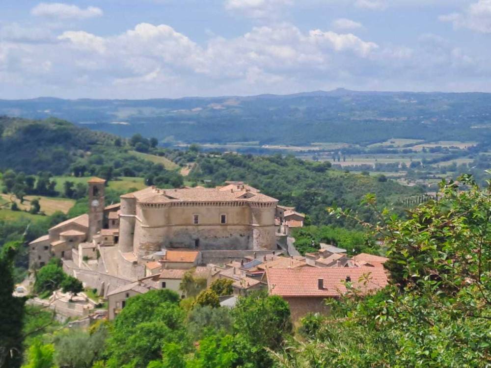 immagine annuncio 11 di 13