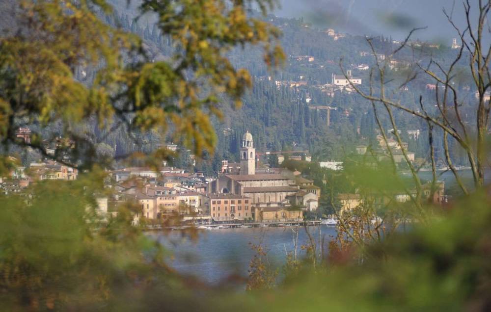 immagine annuncio 5 di 13