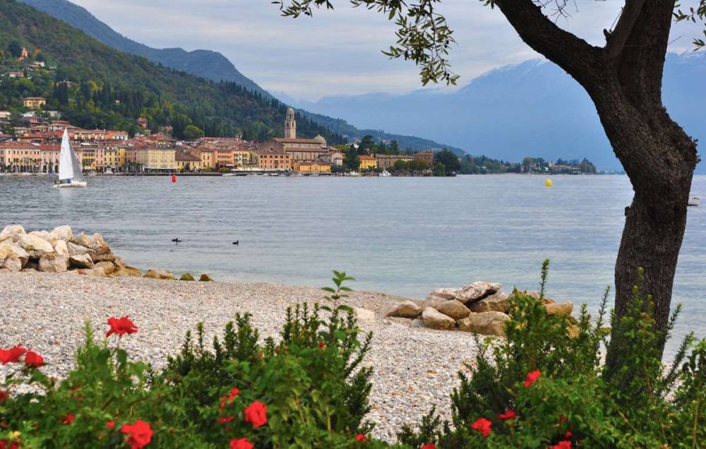 immagine annuncio 6 di 13